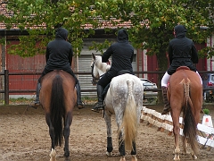 PO 2008 (30)